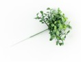 Веточка самшита (салатовый)