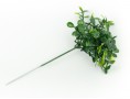Веточка самшита (зеленый)