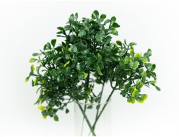 Веточка самшита (зеленый)