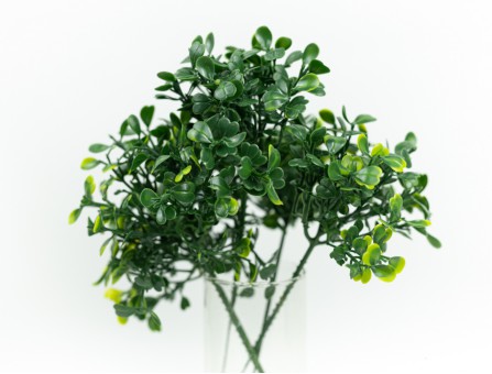 Веточка самшита (зеленый)