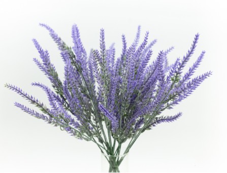 Веточка лаванды (фиолетовый)