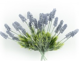 Веточка лаванды полевой