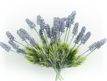 Веточка лаванды полевой