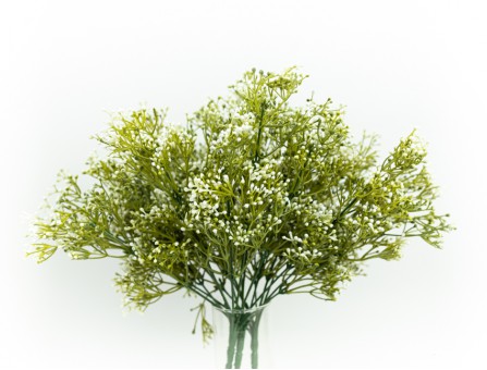 Гілочка мімози (біло-оливковий)