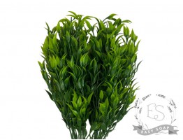 Гілочка трави дрібнолистої (зелений)
