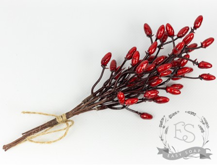 Гілочки ягід кизилу 