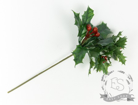 Веточка падуба с ягодками маленькими 