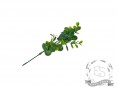 Веточка эвкалипта (зеленый)