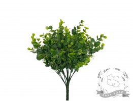 Веточка эвкалипта (зеленый)