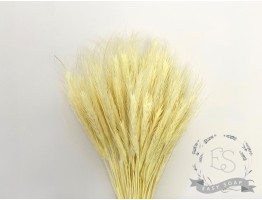Сухоцвет пшеница (отбеленная)