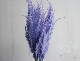 Веточка тысячелистника лавандового Веточка тысячелистника лавандового