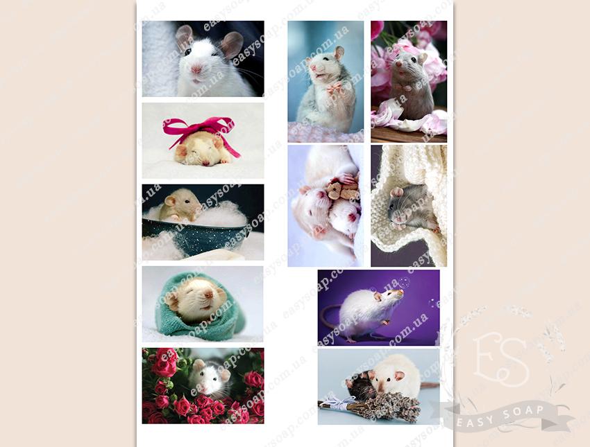 Набор картинок на водорастворимой бумаге "Милые мышки" 8,0х5,0