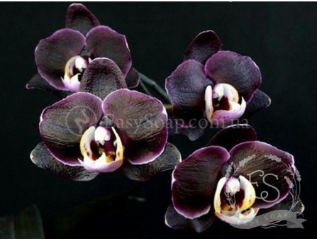 Отдушка "Черная орхидея"