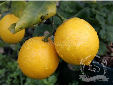  Ефірна олія лимона