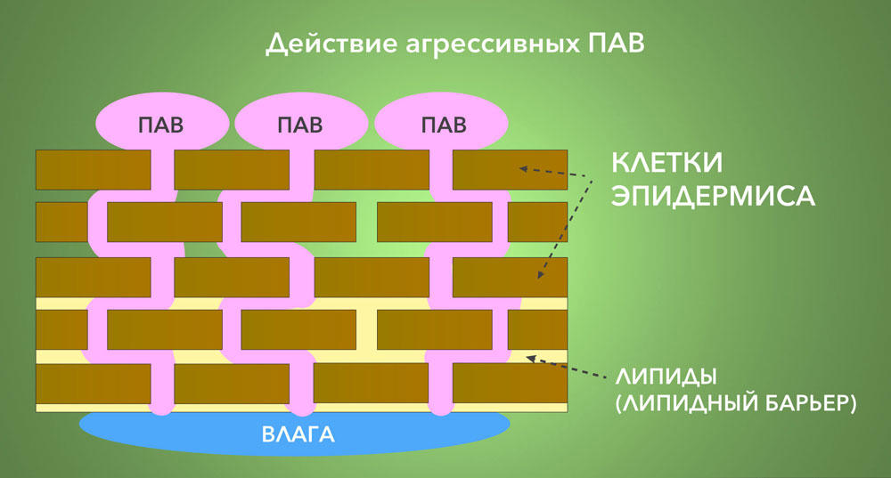 Пав в косметике вред или польза